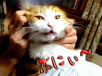 c0016987_22553699.jpg