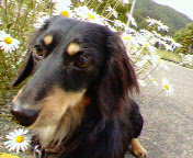 e0007801_0372920.jpg