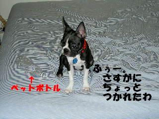 e0039002_10593953.jpg