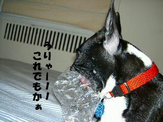 e0039002_1144398.jpg