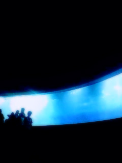 c0055305_20394476.jpg