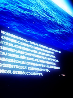c0055305_20403373.jpg