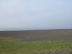d0017712_1432135.jpg