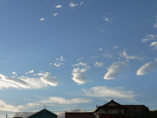a0015815_23455049.jpg