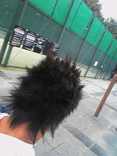 c0056218_3144622.jpg