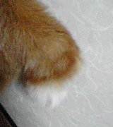 e0041329_1131092.jpg