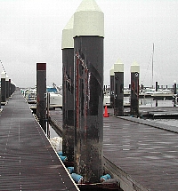 c0041039_1510636.jpg