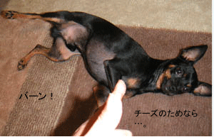 c0012571_15452361.gif