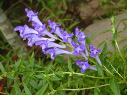 d0050472_23531670.jpg