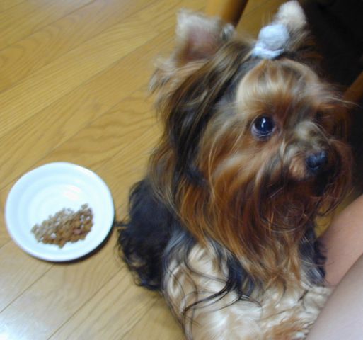 c0031582_8241362.jpg