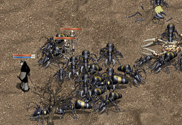 b0052295_2057107.gif