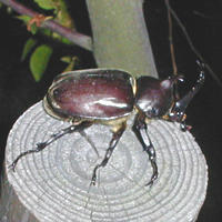 c0043397_15174368.jpg