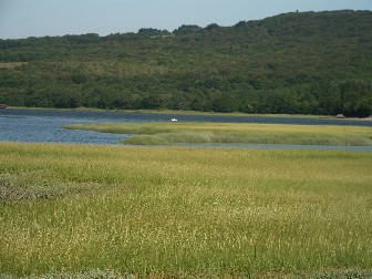 c0032799_20333718.jpg