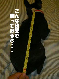 e0039002_12111640.jpg