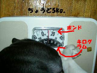 e0039002_12182065.jpg