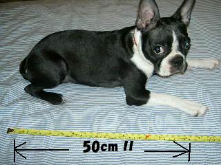 e0039002_1282817.jpg
