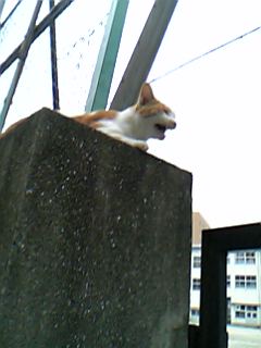 b0048310_18372592.jpg