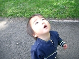 b0060111_4472853.jpg