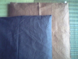 c0003516_15595847.jpg