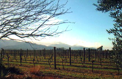 a0020929_23134270.jpg