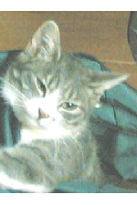 c0011446_21284448.jpg