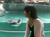 c0072647_373656.jpg