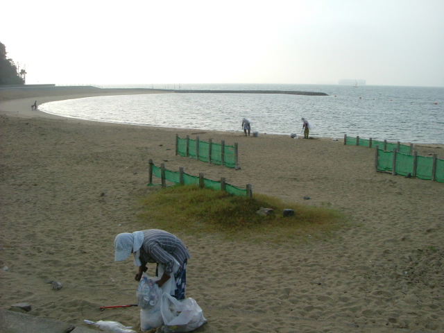 b0055171_2343157.jpg