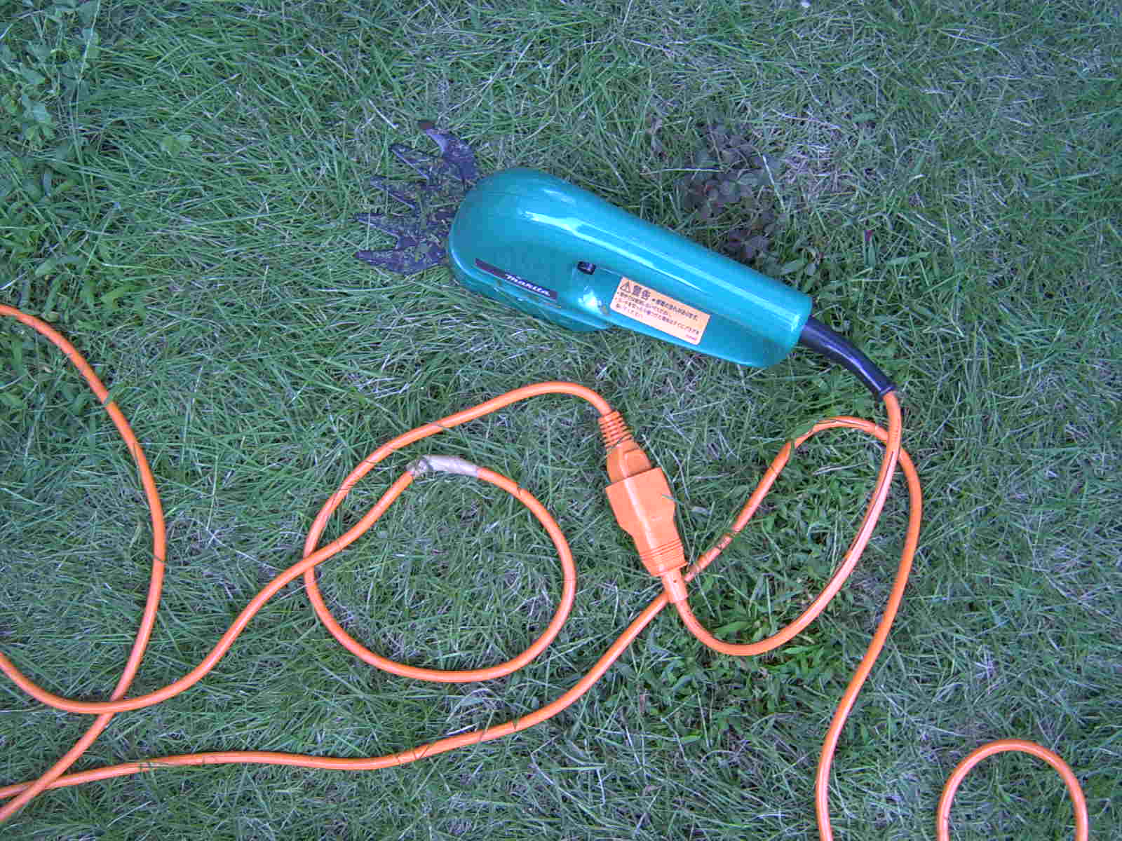 e0058295_1150342.jpg
