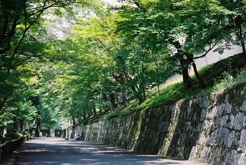 d0004296_0193069.jpg