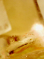c0055305_22294111.jpg