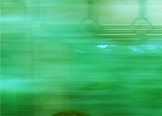 c0055305_2353982.jpg