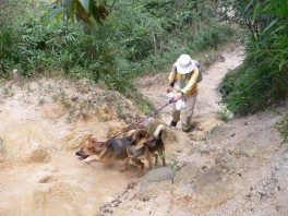 d0062009_7253394.jpg
