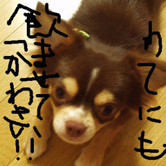 c0036617_11485043.jpg