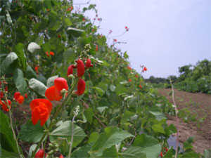 b0034422_233225100.jpg