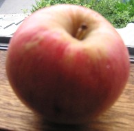 b0028845_2143497.jpg