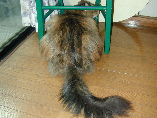 e0005545_12284639.jpg
