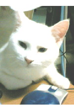 c0011446_224298.jpg