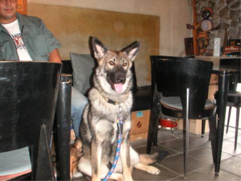 d0006253_2131669.jpg