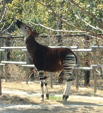 d0034659_2115880.gif