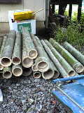 c0030363_10454622.jpg