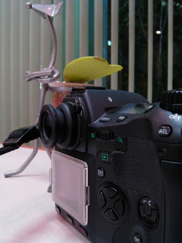 b0056790_8105287.jpg