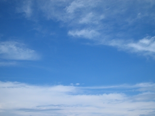 e0003090_1435066.jpg