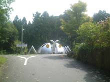 e0015010_11252884.jpg