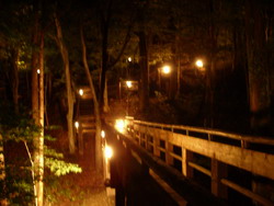 b0010914_2151540.jpg