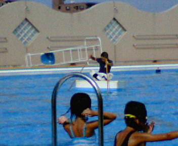 b0052816_231026.jpg