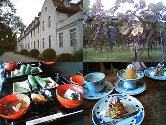 c0012120_2119319.jpg