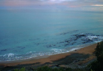 a0020929_1131338.jpg