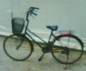 c0056237_2220363.jpg