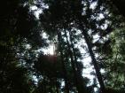 b0024339_1144032.jpg