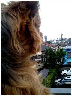 c0033145_21514485.jpg